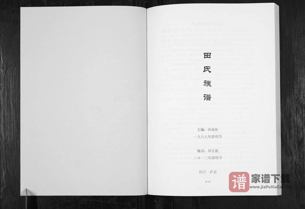 图片[2]-四川泸州泸县田氏族谱PDF高清电子版下载-家谱下载