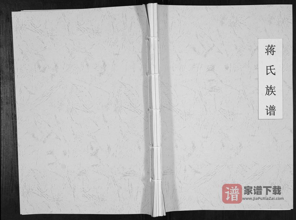 图片[1]-四川广安岳池蒋氏族谱PDF高清电子版下载-家谱下载