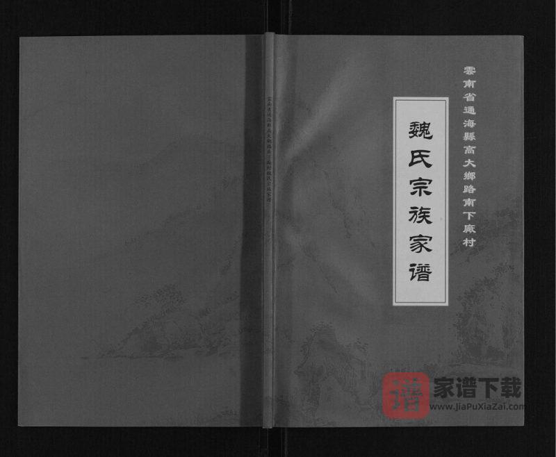 云南玉溪通海县高大乡路南下厂村魏氏宗族家谱PDF高清电子版下载-家谱下载