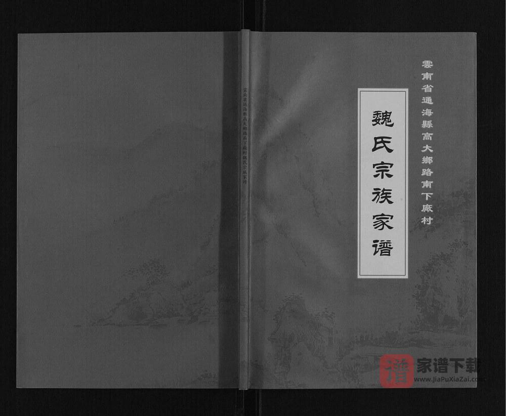 图片[1]-云南玉溪通海县高大乡路南下厂村魏氏宗族家谱PDF高清电子版下载-家谱下载