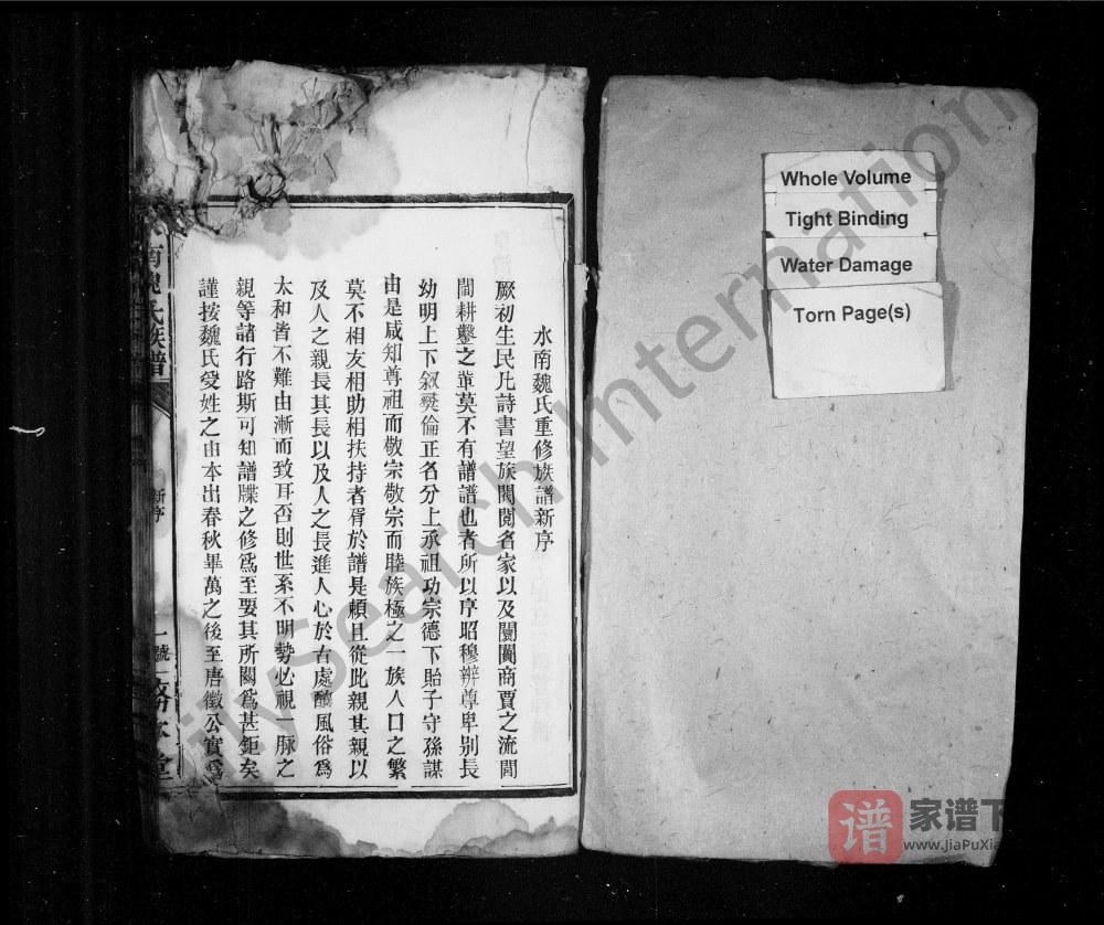图片[2]-江西南昌水南魏氏族谱（务本堂）PDF高清电子版下载-家谱下载