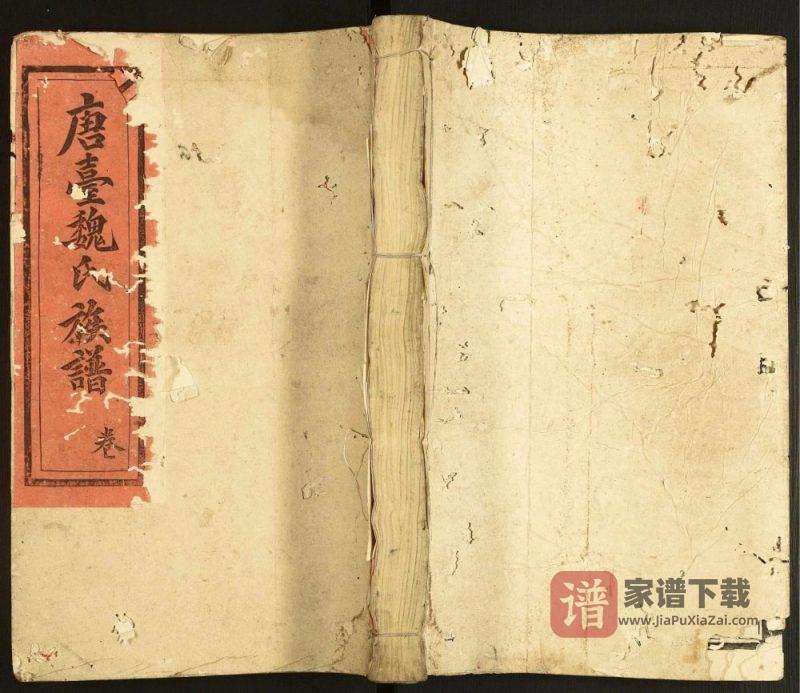 江西赣州石城县唐台魏氏族谱PDF高清电子版下载-家谱下载