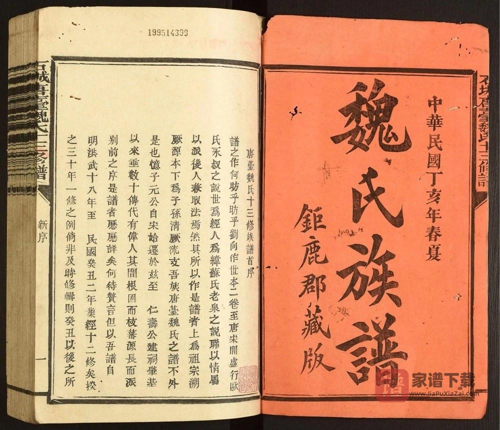 图片[2]-江西赣州石城县唐台魏氏族谱PDF高清电子版下载-家谱下载