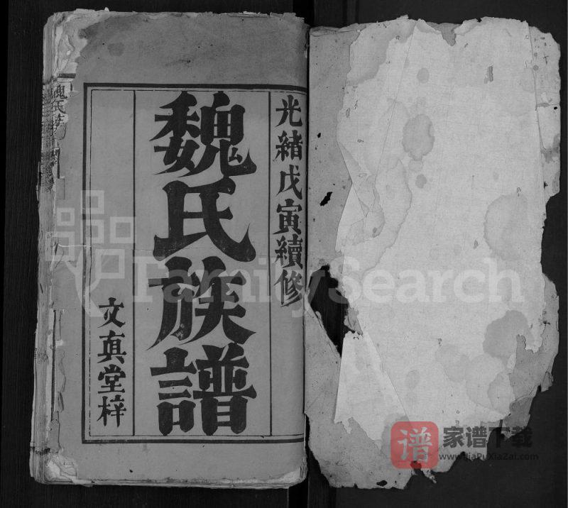 湖北武汉新洲区魏氏族谱(文真堂)PDF高清电子版下载-家谱下载