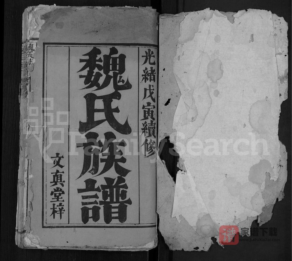 湖北武汉新洲区魏氏族谱（文真堂）PDF高清电子版下载