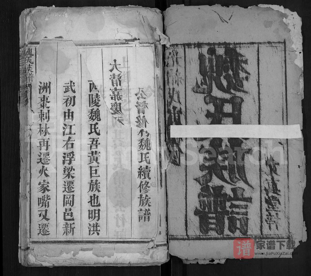 图片[2]-湖北武汉新洲区魏氏族谱（文真堂）PDF高清电子版下载-家谱下载