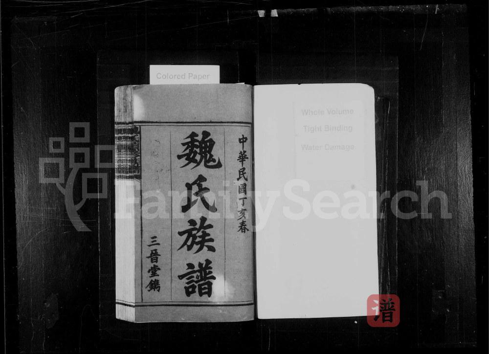 图片[2]-湖南益阳安化魏氏续修族谱（三晋堂）PDF高清电子版下载-家谱下载