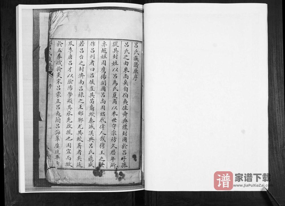 图片[2]-山东青岛即墨信村吕氏族谱（敦睦堂）PDF高清电子版下载-家谱下载