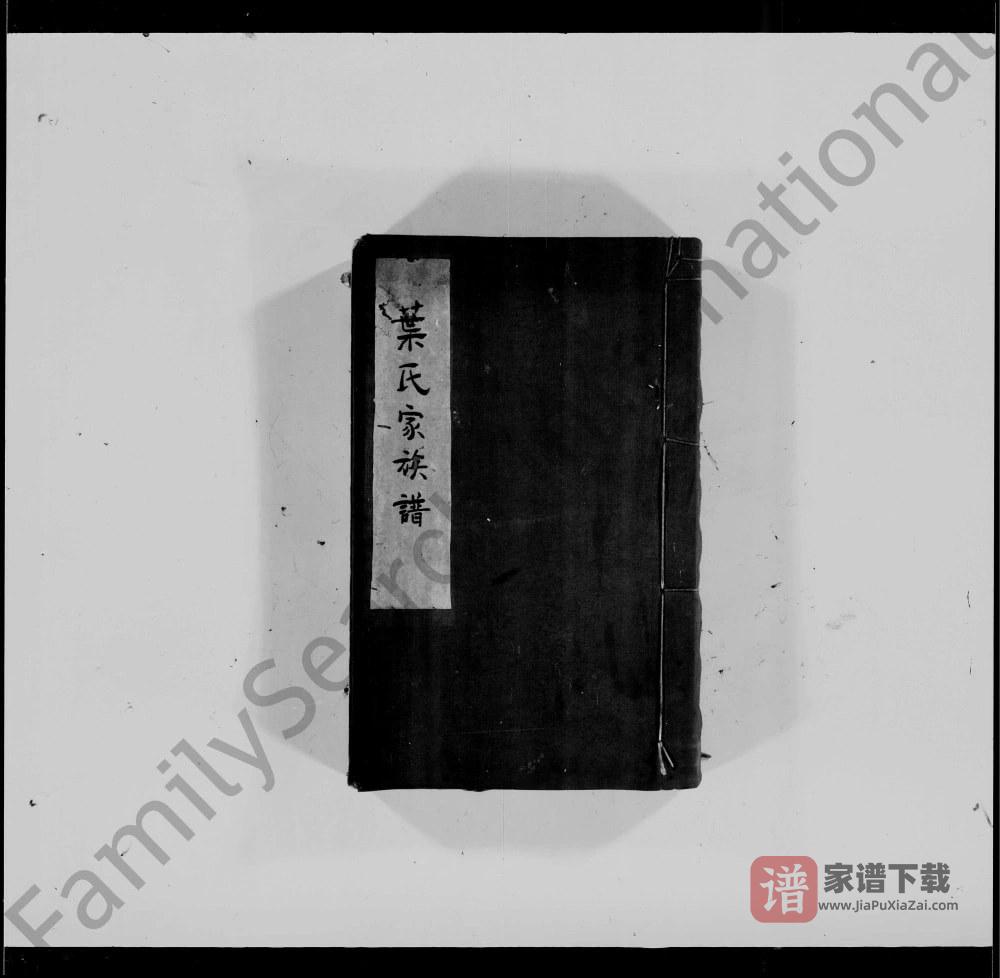 图片[1]-广东佛山南海叶氏家族谱PDF高清电子版下载-家谱下载