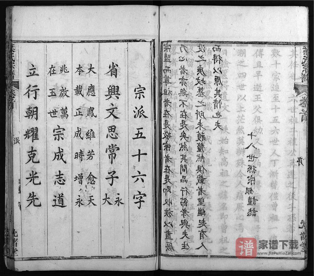 图片[2]-湖北麻城叶氏宗谱（沈诸堂）PDF高清电子版下载-家谱下载