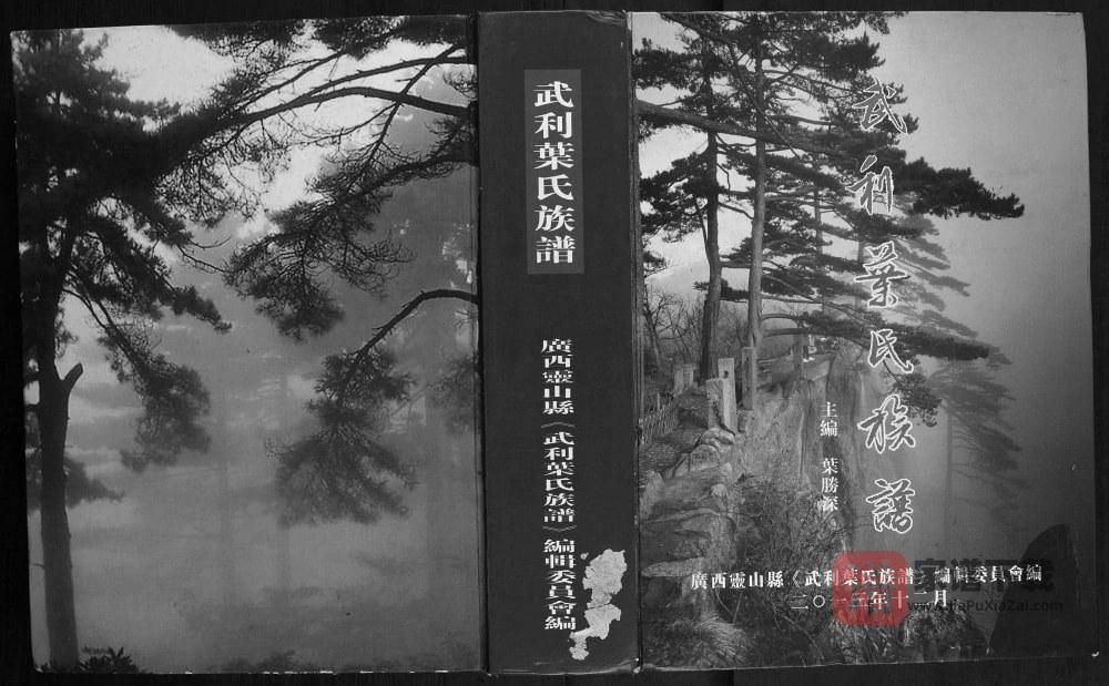 图片[1]-广西钦州灵山县武利叶氏族谱PDF高清电子版下载-家谱下载