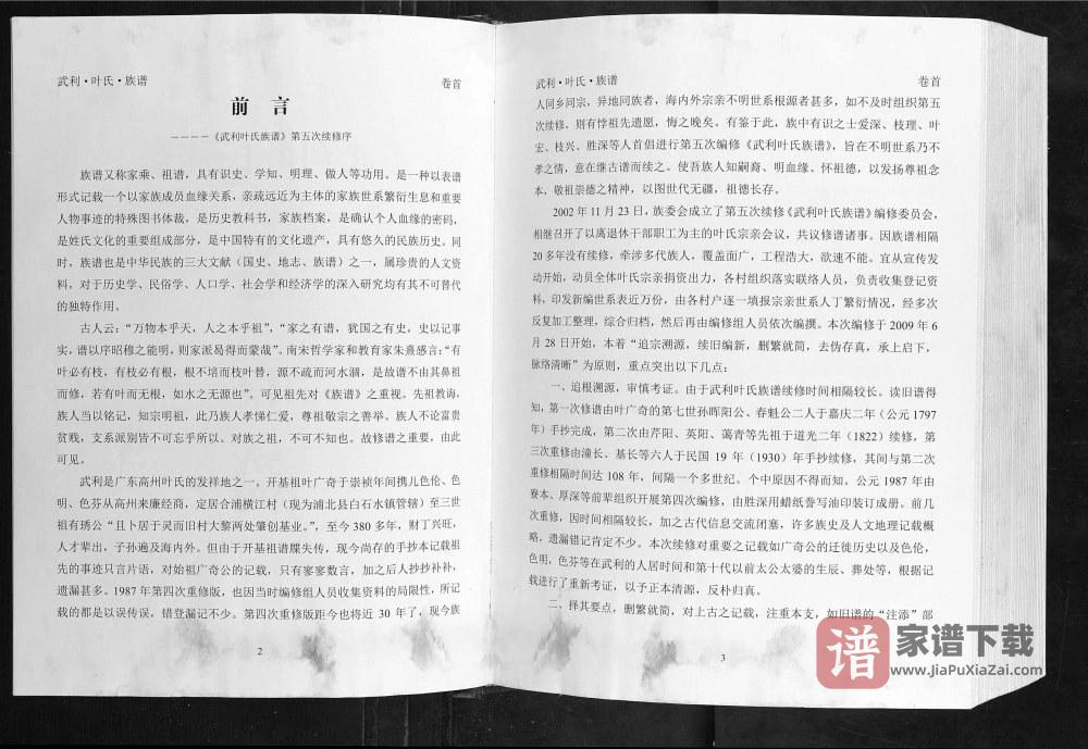 图片[2]-广西钦州灵山县武利叶氏族谱PDF高清电子版下载-家谱下载