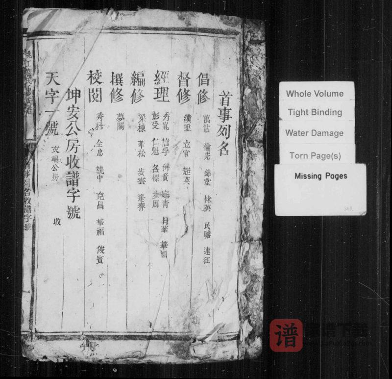 江西赣州信丰县桃江叶氏重修族谱PDF高清电子版下载-家谱下载