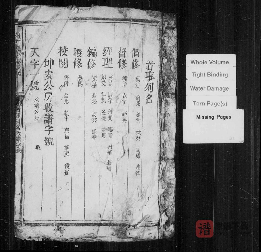 图片[1]-江西赣州信丰县桃江叶氏重修族谱PDF高清电子版下载-家谱下载