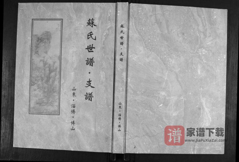 山东淄博博山苏氏世谱支谱PDF高清电子版下载-家谱下载