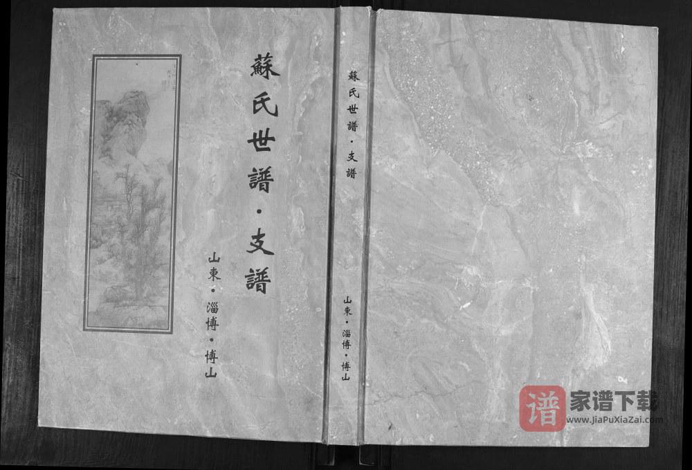 图片[1]-山东淄博博山苏氏世谱支谱PDF高清电子版下载-家谱下载