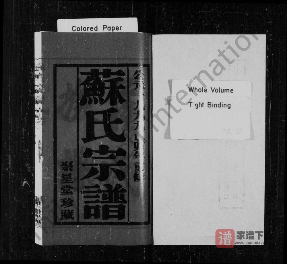 图片[2]-江苏江阴苏氏宗谱（聚星堂）PDF高清电子版下载-家谱下载