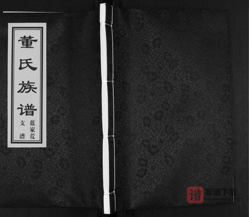 图片[1]-山东青岛即墨董氏族谱蓝家荒支谱PDF高清电子版下载-家谱下载