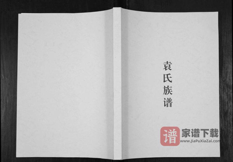 四川德阳中江县袁氏族谱PDF高清电子版下载-家谱下载