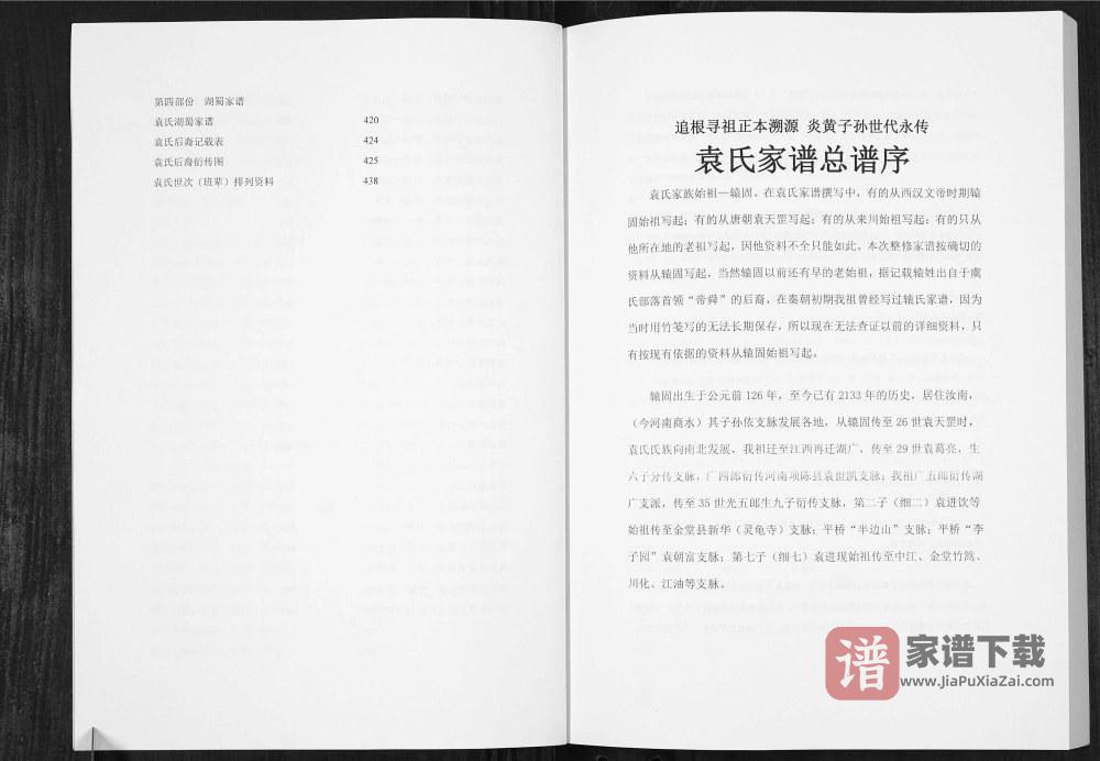 图片[2]-四川德阳中江县袁氏族谱PDF高清电子版下载-家谱下载