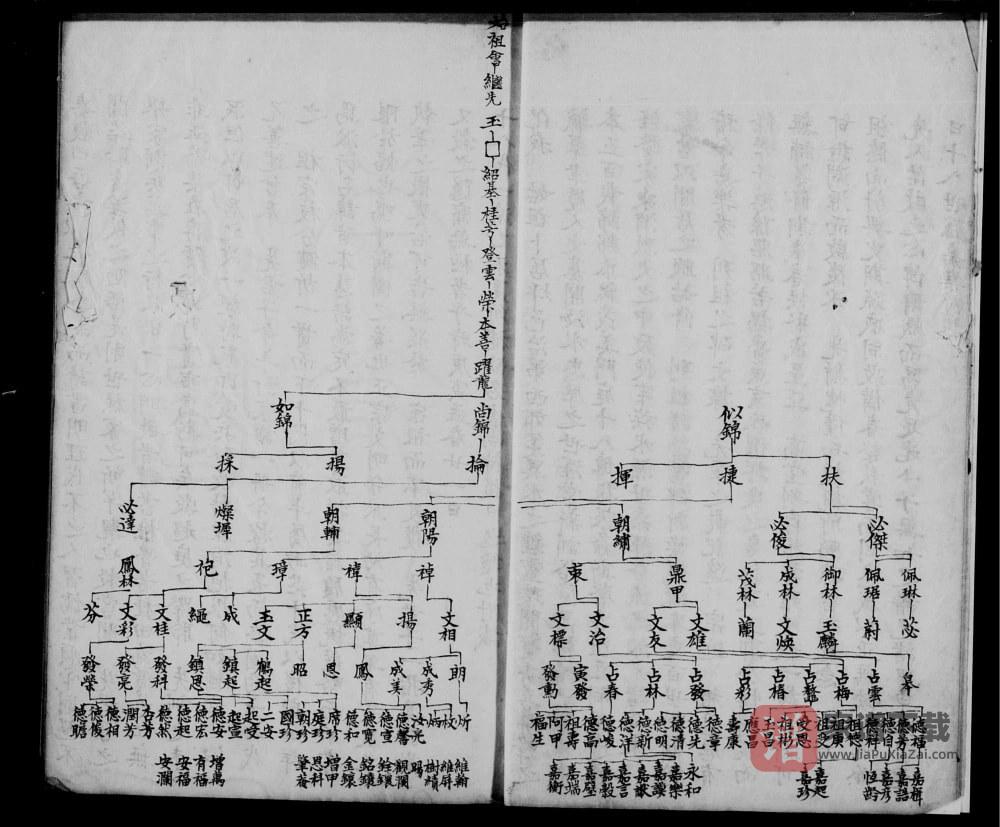 图片[2]-云南红河石屏县袁氏家谱PDF高清电子版下载-家谱下载