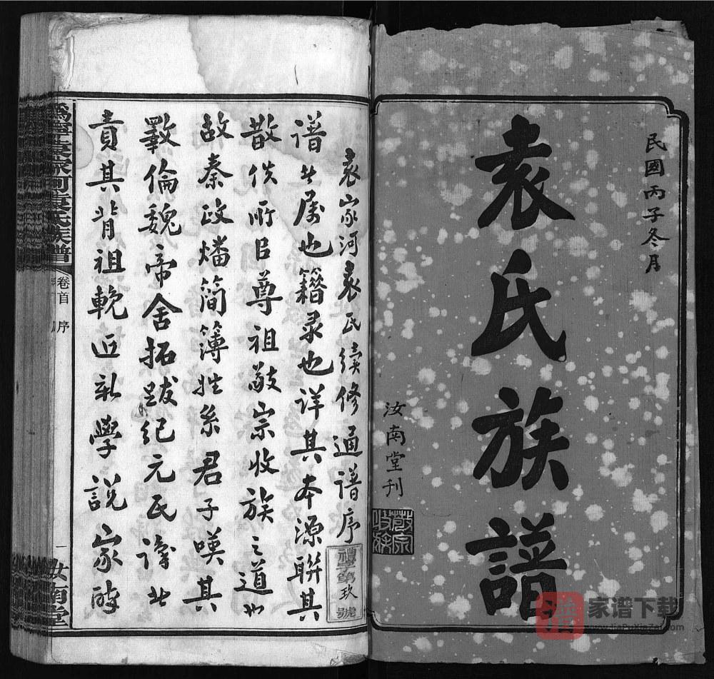 图片[2]-湖南宁乡沩宁袁家河袁氏族谱（汝南堂）PDF高清电子版下载-家谱下载