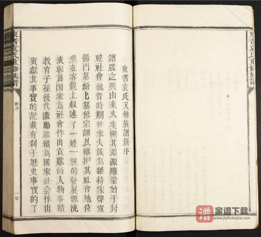 图片[2]-江西抚州崇仁县东耆袁氏重修族谱PDF高清电子版下载-家谱下载