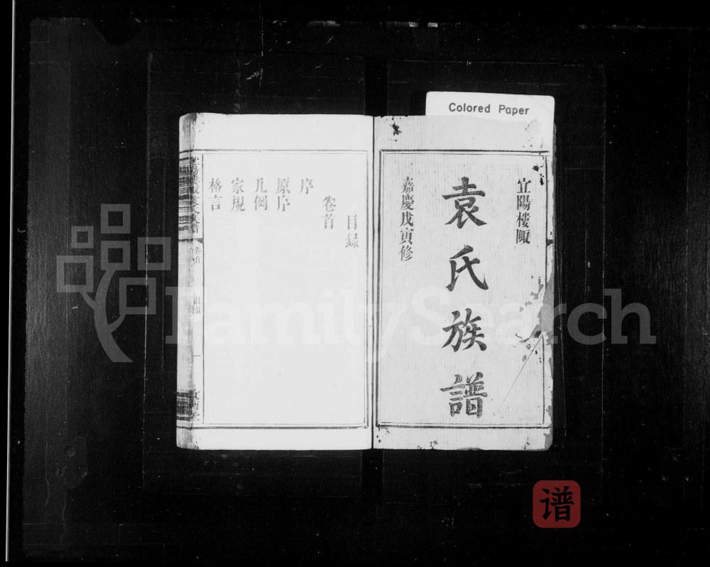 江西宜春宜阳楼陬袁氏族谱（汝南堂）PDF高清电子版下载