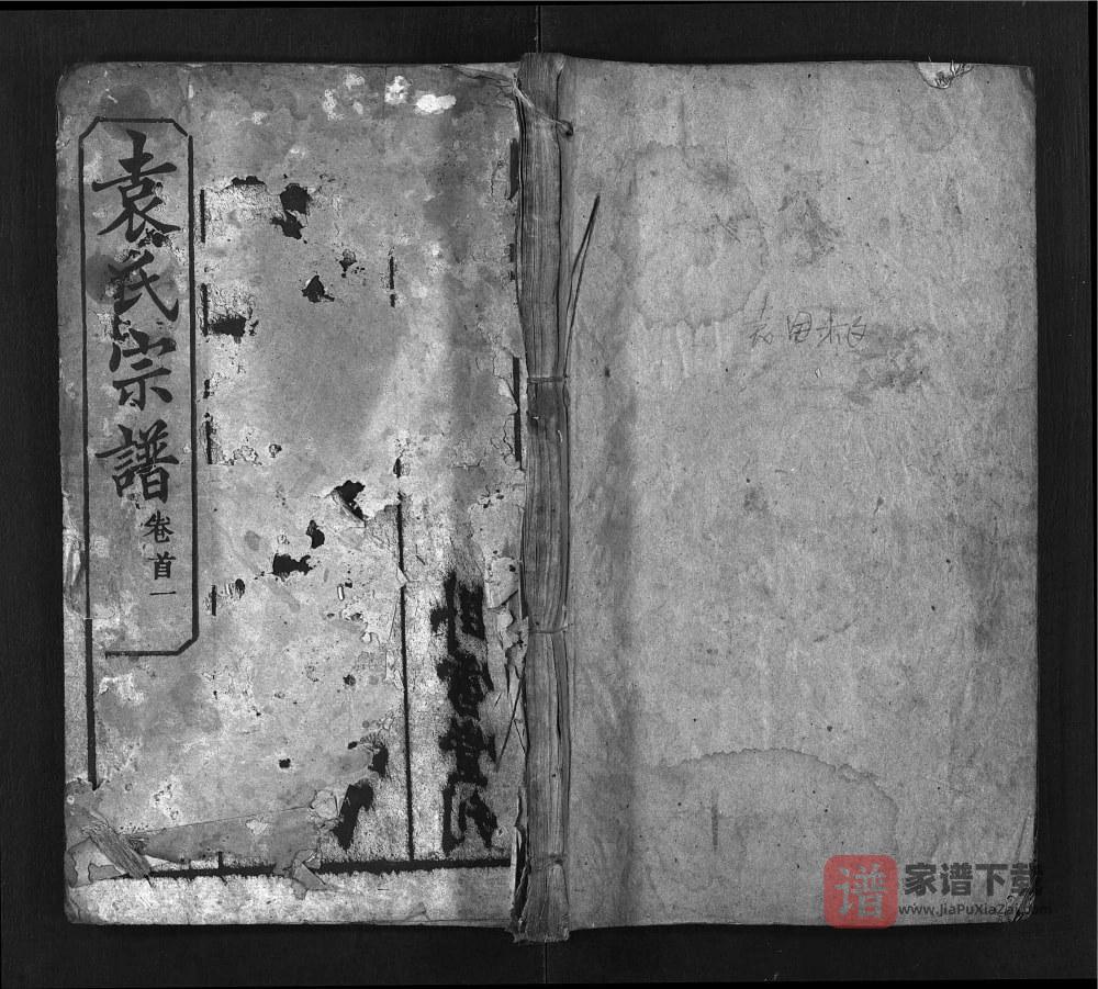 湖北武汉新洲袁氏宗谱（卧雪堂）PDF高清电子版下载