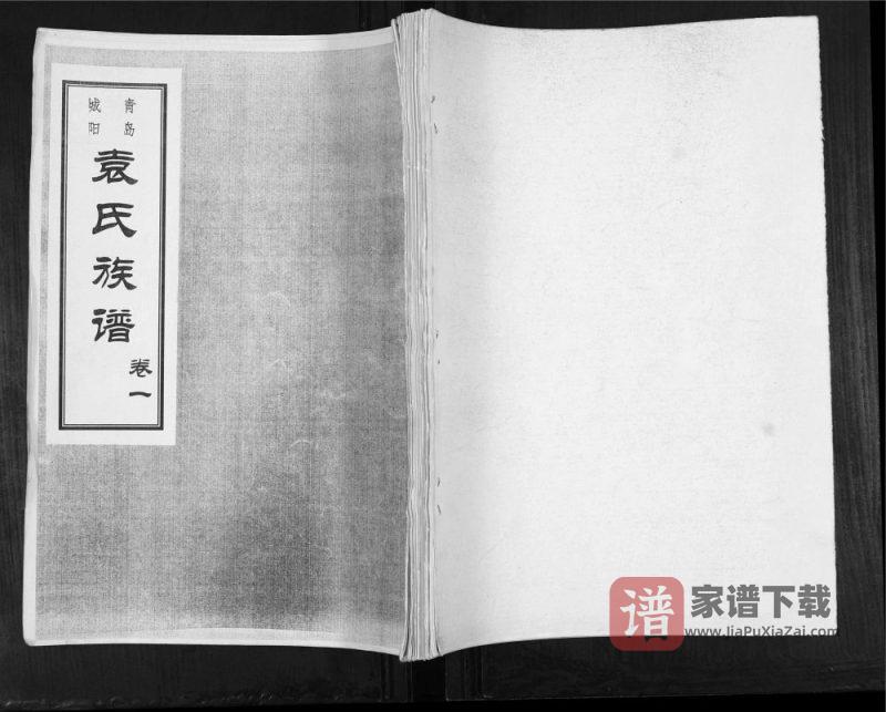 山东青岛城阳袁氏族谱PDF高清电子版下载-家谱下载