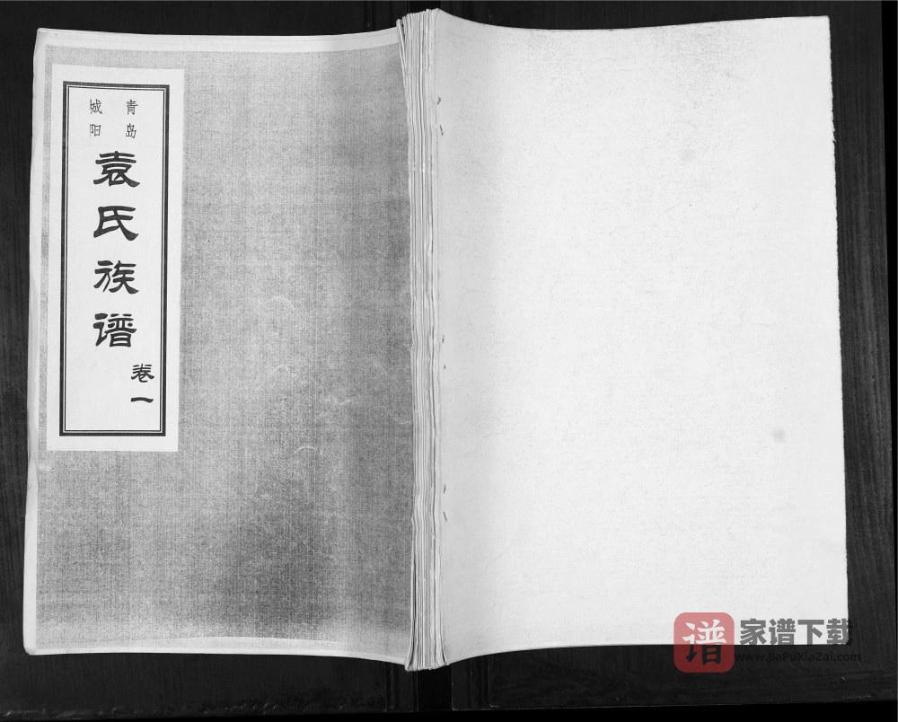 山东青岛城阳袁氏族谱PDF高清电子版下载