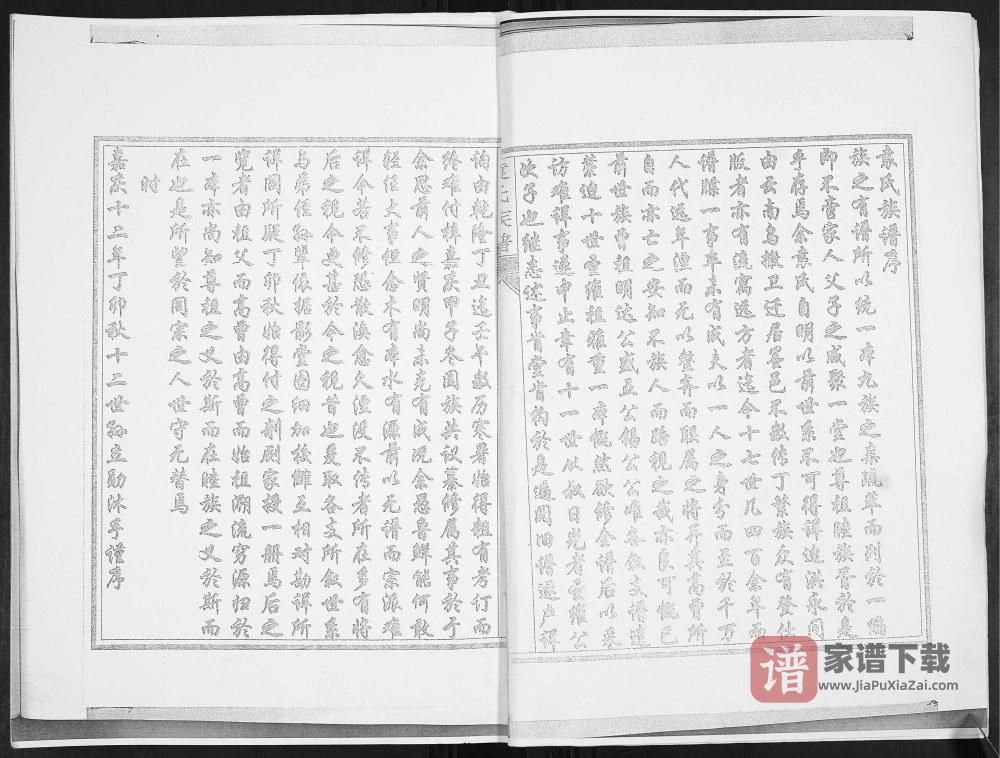 图片[2]-山东青岛城阳袁氏族谱PDF高清电子版下载-家谱下载