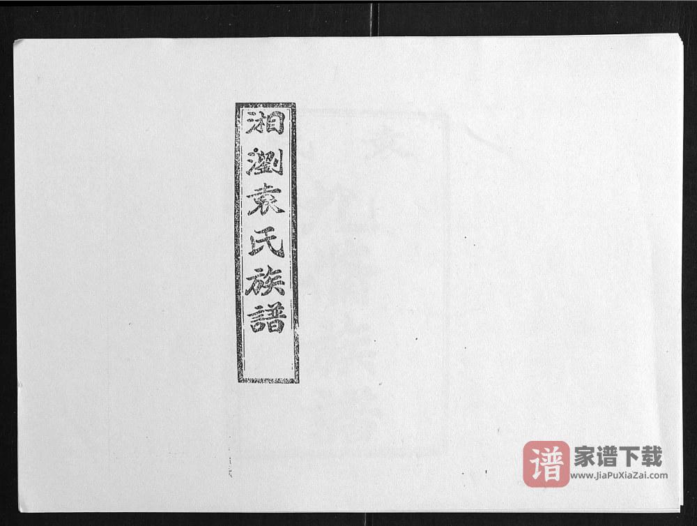 湖南浏阳石园袁氏族谱（汝南堂）PDF高清电子版下载