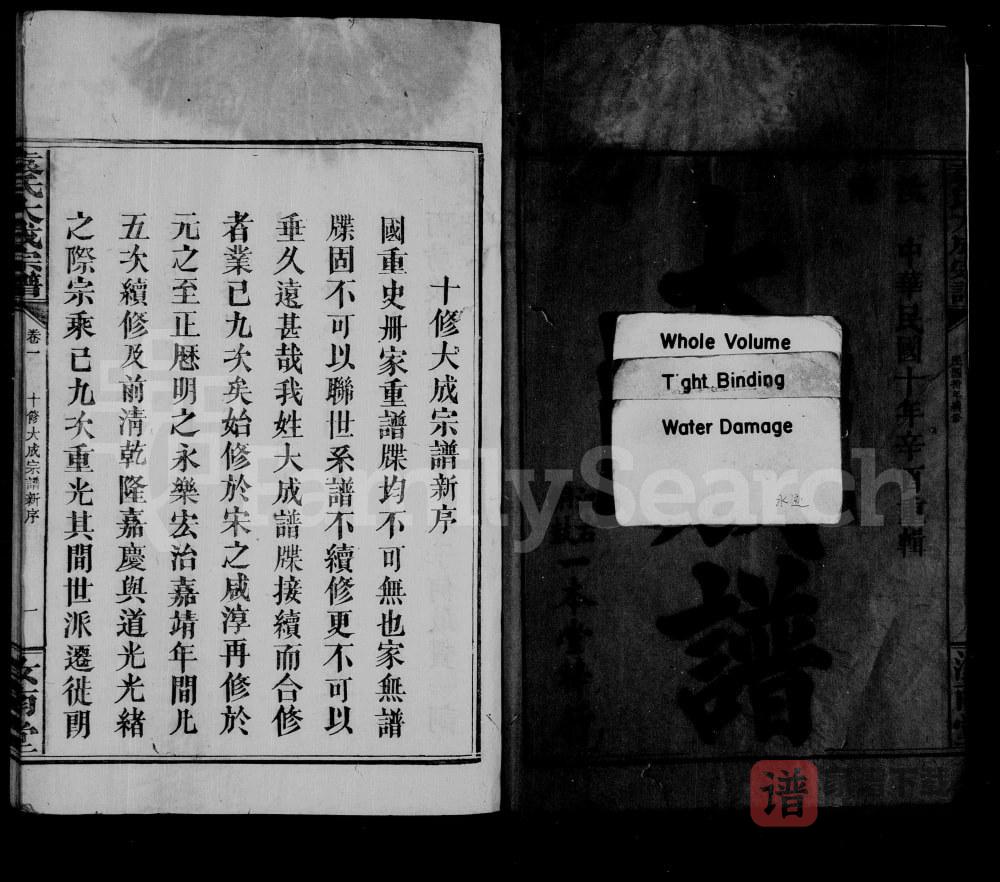 图片[2]-江西袁氏大成宗谱（汝南堂）PDF高清电子版下载-家谱下载
