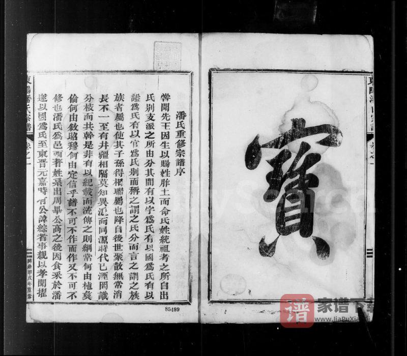 浙江东阳潘氏宗谱PDF高清电子版下载-家谱下载