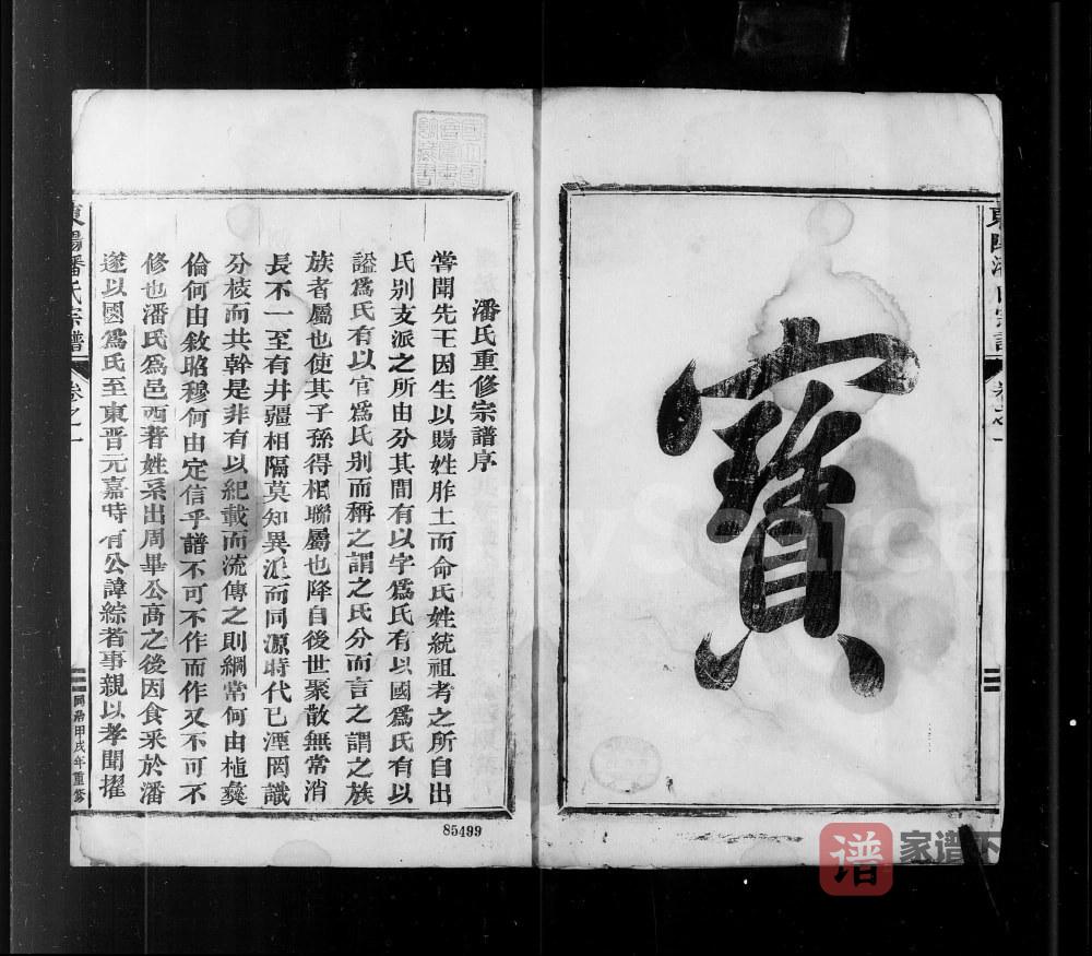 图片[1]-浙江东阳潘氏宗谱PDF高清电子版下载-家谱下载
