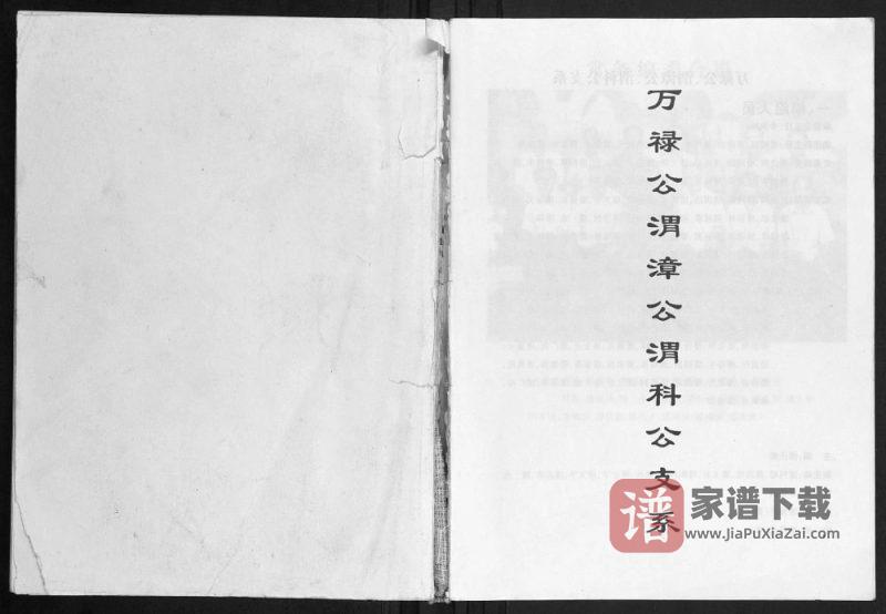 广西玉林容县潘氏万禄公渭漳公渭科公支系PDF高清电子版下载-家谱下载
