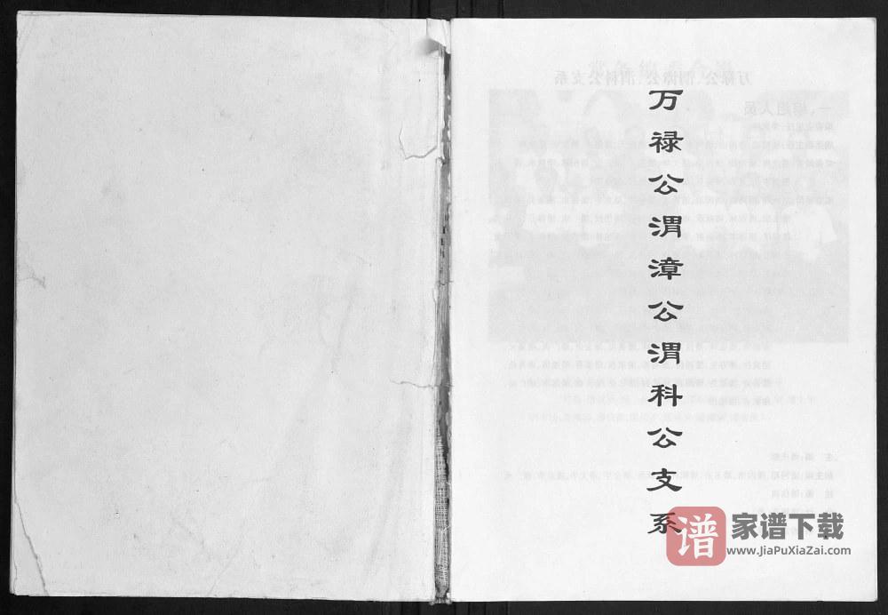 广西玉林容县潘氏万禄公渭漳公渭科公支系PDF高清电子版下载