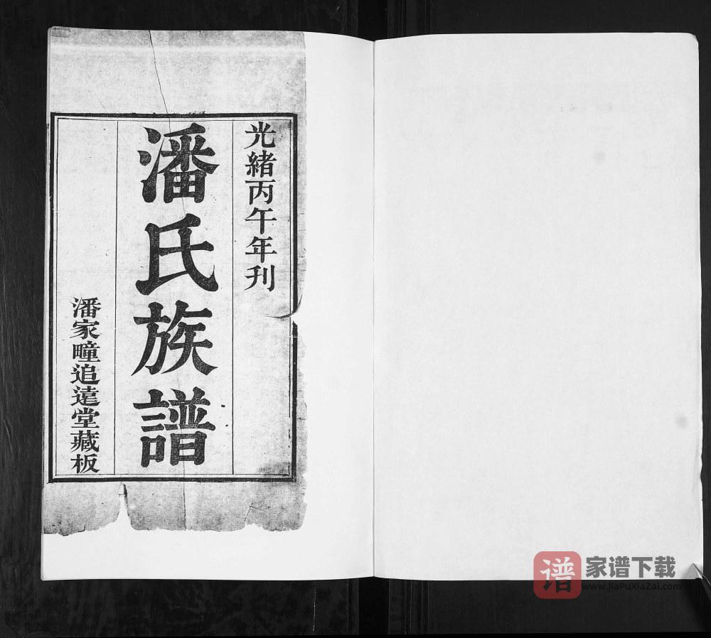 图片[2]-山东莱阳潘氏族谱（追远堂）PDF高清电子版下载-家谱下载