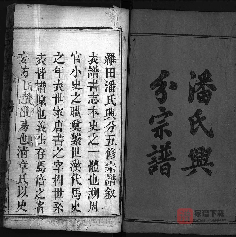 图片[2]-湖北黄冈罗田潘氏兴分五修宗谱（清和堂）PDF高清电子版下载-家谱下载