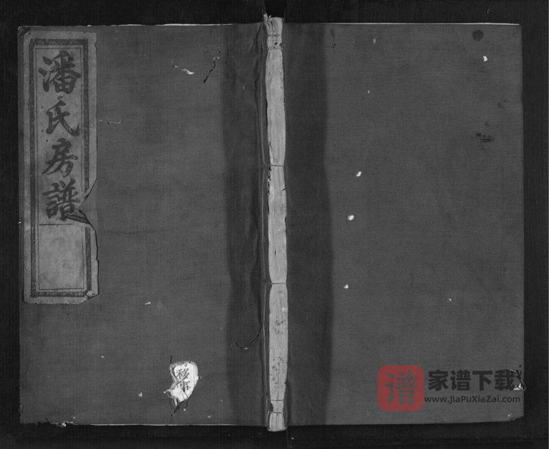 浙江丽水松阳县潘氏恥房宗谱PDF高清电子版下载-家谱下载