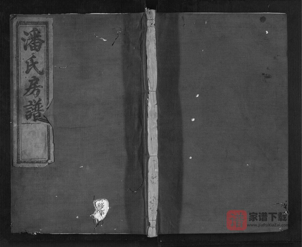 图片[1]-浙江丽水松阳县潘氏恥房宗谱PDF高清电子版下载-家谱下载