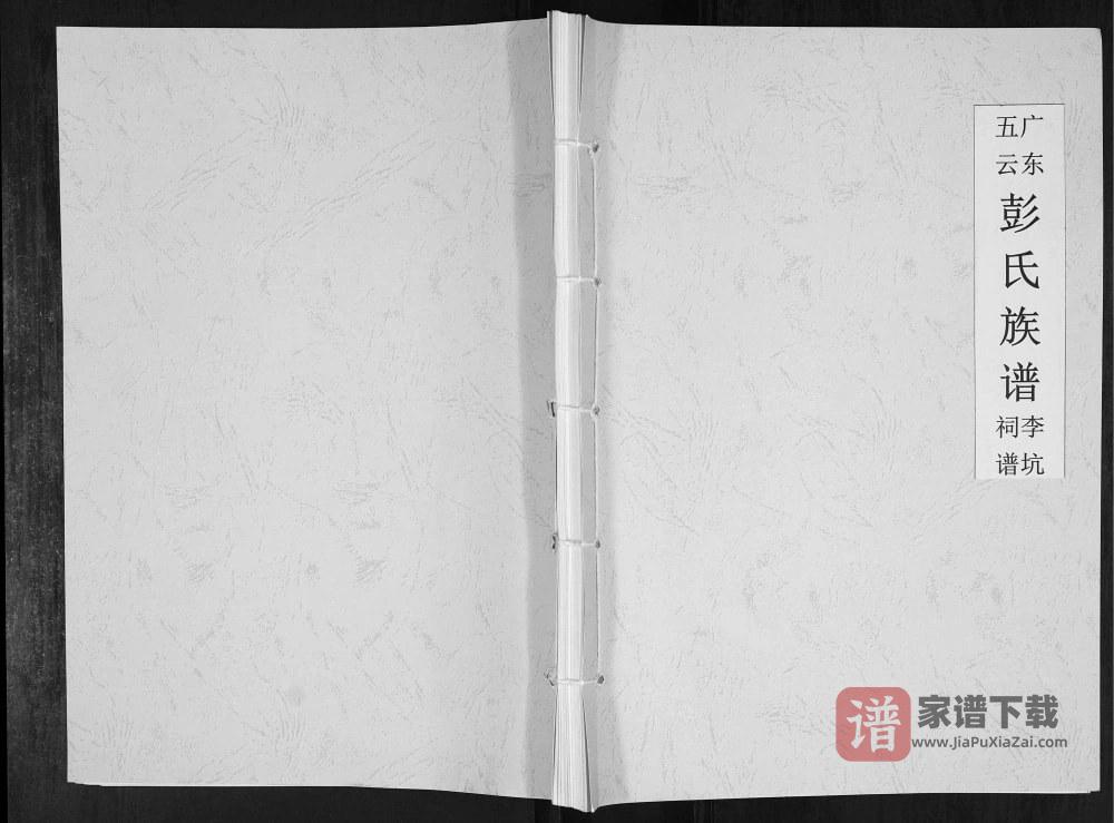 图片[1]-广东揭阳揭西县五云彭氏族谱李坑祠谱PDF高清电子版下载-家谱下载