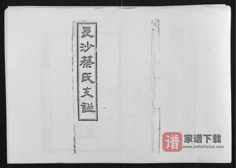 湖南长沙蔡氏支谱(洛阳堂)PDF高清电子版下载-家谱下载