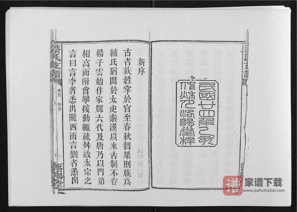 图片[2]-湖南长沙蔡氏支谱（洛阳堂）PDF高清电子版下载-家谱下载