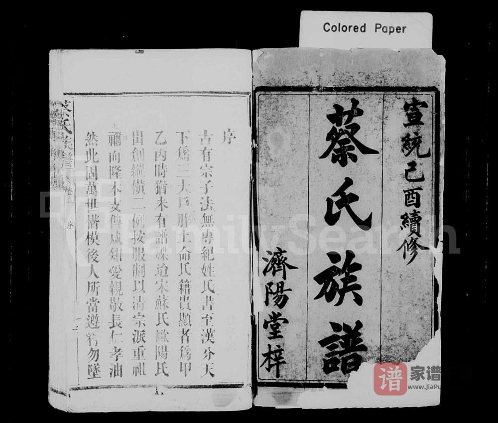 图片[2]-湖南益阳蔡氏族谱PDF高清电子版下载-家谱下载