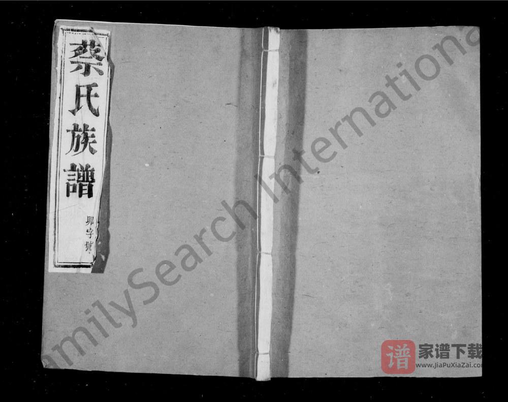 江苏镇江润东坛王蔡氏重修族谱（九贤堂）PDF高清电子版下载