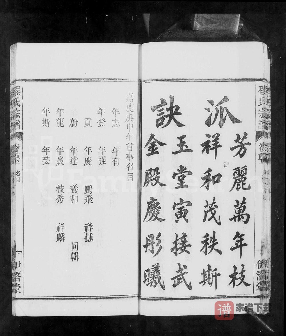 图片[2]-安徽桐城皖桐程氏宗谱（伊洛堂）PDF高清电子版下载-家谱下载