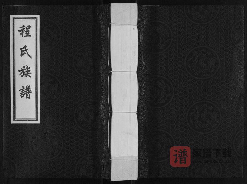 河北沧州盐山程氏族谱PDF高清电子版下载-家谱下载
