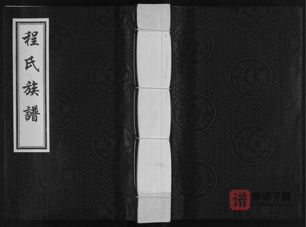 图片[1]-河北沧州盐山程氏族谱PDF高清电子版下载-家谱下载